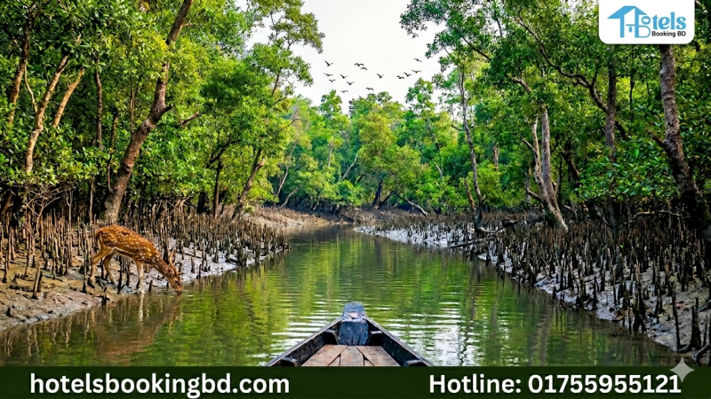 blog-image