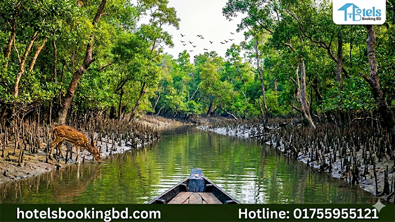 blog-image